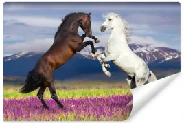 fototapeta-do-biura-konie-lawenda-gory-3d-450x300