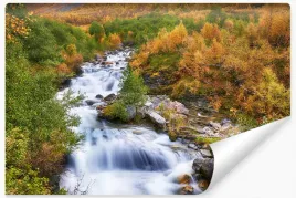 fototapeta-jesien-drzewa-rzeka-wodospad-3d-450x300