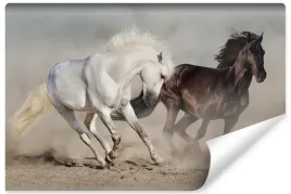 fototapeta-scienna-galopujace-konie-piasek-450x300