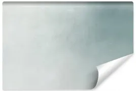 fototapeta-szara-abstrakcja-ombre-ozdoba-450x300