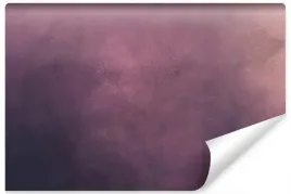 fototapeta-fioletowe-ombre-roz-modny-dekor-450x300