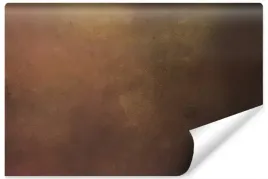 fototapeta-brazowe-ombre-w-stylu-vintage-450x300