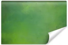 fototapeta-zielone-ombre-abstrakcja-dekor-450x300