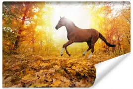 fototapeta-ozdobna-kon-w-jesiennym-lesie-450x300