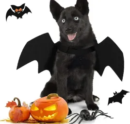 kostium-stroj-przebranie-na-halloween-dla-psa-kota-skrzydla-nietoperza-m
