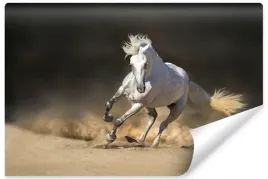 fototapeta-do-salonu-galopujacy-kon-piasek-450x300