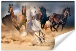 fototapeta-scienna-galopujace-konie-dekor-360x240