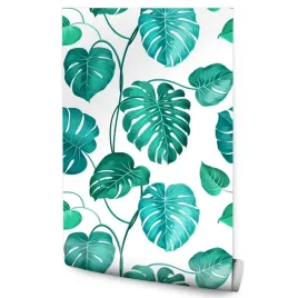 tapeta-scienna-liscie-tropikalne-monstera-ozdoba