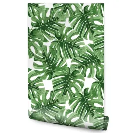 tapeta-do-salonu-zielone-liscie-monstera-roslina