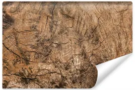 fototapeta-do-sypialni-drewno-efekt-3d-450x300