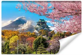 fototapeta-mlodziezowa-japonia-zamek-osaka-450x300