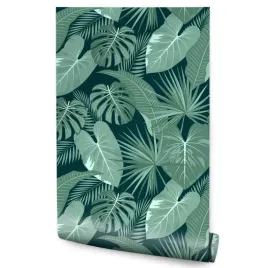 tapeta-do-salonu-monstera-liscie-bananowca-natura