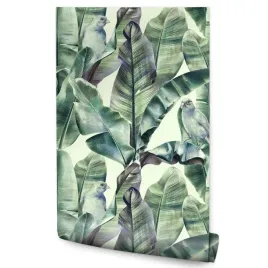 tapeta-do-sypialni-liscie-bananowca-ptaki-natura
