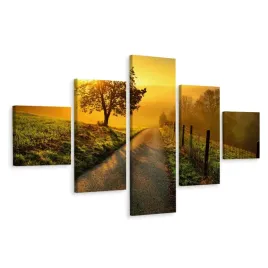 obraz-5-czesciowy-slonce-droga-pole-trawa-250x150