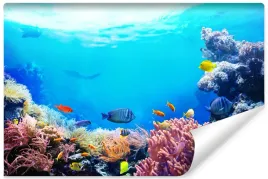fototapeta-do-sypialni-tropikalne-ryby-3d-450x300