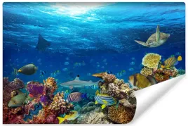 fototapeta-mlodziezowa-ocean-rafa-koralowa-450x300