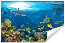 fototapeta-mlodziezowa-rafa-koralowa-ocean-450x300