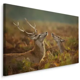 obraz-do-sypialni-jelen-lania-zielen-natura-120x80