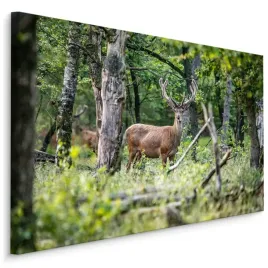 obraz-do-jadalni-jelen-las-drzewa-natura-120x80