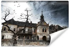 fototapeta-do-salonu-zamek-dworek-ptaki-3d-450x300