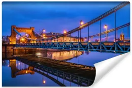 fototapeta-do-salonu-most-noca-wroclaw-3d-450x300