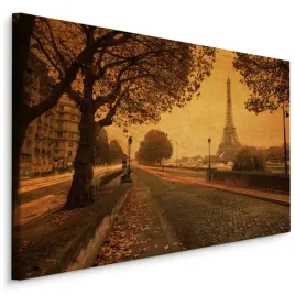 obraz-do-salonu-paryz-wieza-eiffla-vintage-70x50