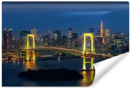 fototapeta-do-salonu-tokyo-most-panorama-450x300
