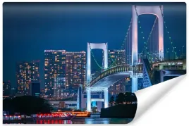 fototapeta-mlodziezowa-tokyo-miasto-noca-450x300