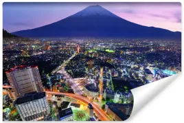 fototapeta-do-salonu-tokyo-gora-fuji-3d-450x300