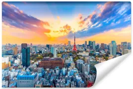 fototapeta-mlodziezowa-panorama-tokyo-3d-450x300