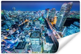 fototapeta-do-salonu-tokyo-miasto-noca-3d-450x300