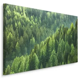 obraz-scienny-las-iglasty-natura-pejzaz-3d-100x70