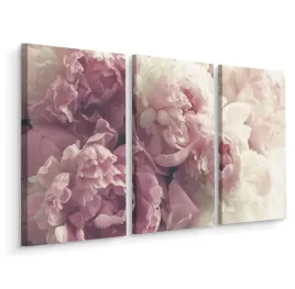 obraz-tryptyk-kwitnace-piwonie-natura-3d-180x120