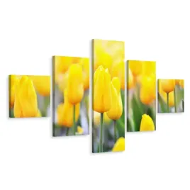 obraz-5-czesciowy-zolte-tulipany-kwiaty-3d-250x150