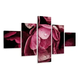 obraz-5-czesciowy-peonie-kwiaty-macro-3d-250x150