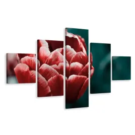 obraz-5-czesciowy-tulipan-z-bliska-natura-250x150