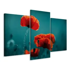 obraz-tryptyk-czerwone-maki-kwiaty-natura-60x40
