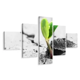 obraz-poliptyk-kielkujaca-roslina-dekor-3d-250x150