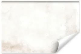 fototapeta-modny-wzor-ombre-dekor-do-biura-450x300