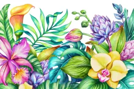 fototapeta-mlodziezowa-kolorowe-orchidee-450x300