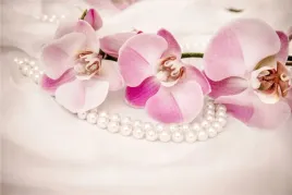 fototapeta-do-salonu-orchidee-modne-perly-450x300