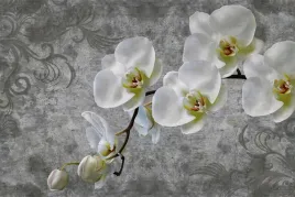 fototapeta-do-salonu-ornamenty-orchidee-450x300