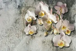 fototapeta-do-biura-modna-orchidea-beton-450x300