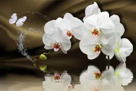 fototapeta-na-korytarz-orchidee-motyl-woda-450x300