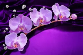 fototapeta-do-sypialni-orchidea-abstrakcja-450x300