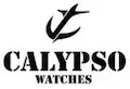 zegarek-calypso-k15-orange-typ-nareczny