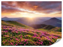 fototapeta-do-salonu-zachod-slonca-gory-kwiaty-pejzaz-natura-3d-90x60