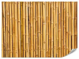 fototapeta-do-salonu-sypialni-bambus-natura-rosliny-3d-abstrakcja-450x300