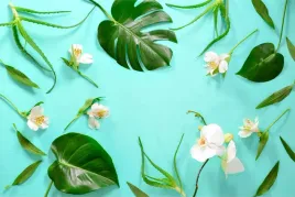fototapeta-scienna-rosliny-kwiaty-orchidea-450x300