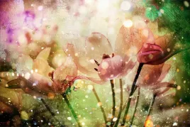 fototapeta-do-biura-kolorowe-tulipany-3d-450x300